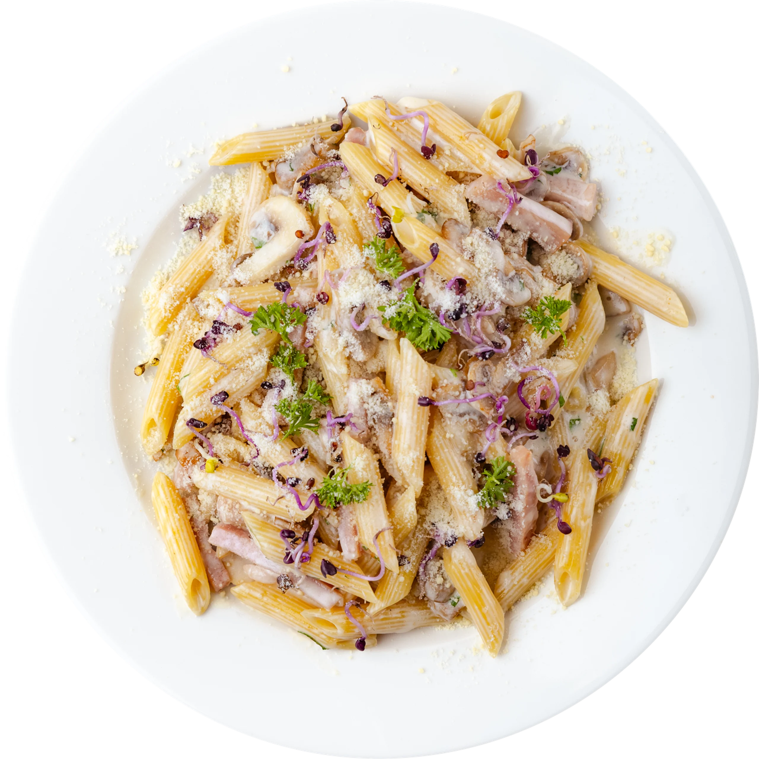 Sonkás gombás penne